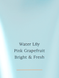Лосьйон Aqua Kiss Victoria's Secret 26972005 фото 2